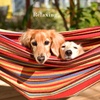 image:imageDouble Brazilian Hammock with Stand Included  Woven Cotton 2Person Outdoor Swing with Frame for Camping Backyard or Patio by Pure Garden