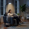 image:imageLavish Home Adjustable Floor Lamp for Bedroom  Full Spectrum Natural Sunlight Lamp for Office with Bendable Neck for Reading Light Craft Studying and Esthetician Light  Black