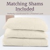 image:image3PC Velvet Queen Quilt Bedding Set  96x92 Inch Queen Bedspread and Matching Pillow Shams  Medium Weight Bed Set for All Seasons  Ultra Soft Luxury Cotton Velvet Bedding by Lavish Home CreamCream