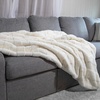 image:imageLavish Home Faux Fur Blanket  60x80Inch Queen Size Throw Blanket with Plush Faux Fur Front and Mink Back  Bedding for Sofas and Beds CreamCream