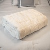 image:imageLavish Home Faux Fur Blanket  60x80Inch Queen Size Throw Blanket with Plush Faux Fur Front and Mink Back  Bedding for Sofas and Beds CreamCream